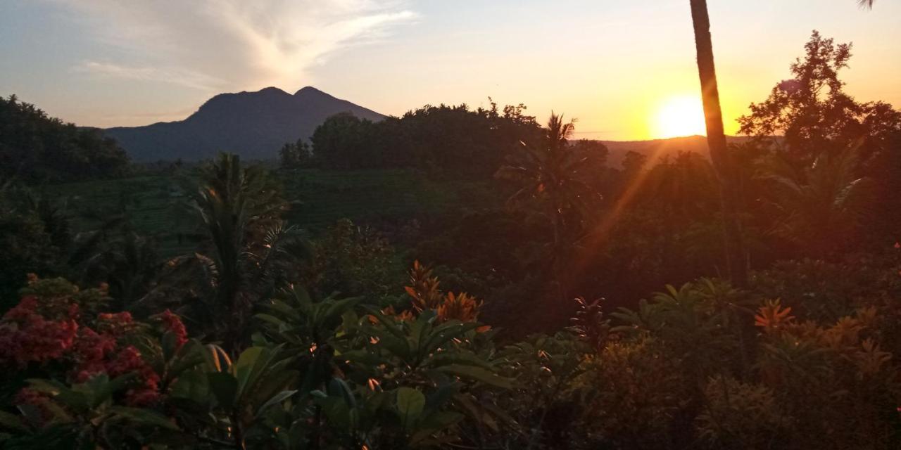 Pondok Lembah Dukuh Homestay كارانغاسِم المظهر الخارجي الصورة