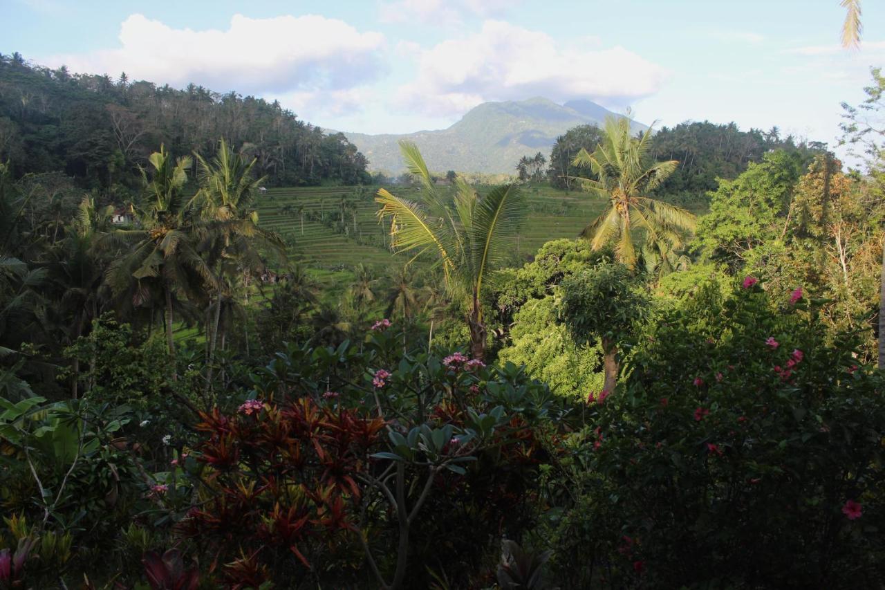 Pondok Lembah Dukuh Homestay كارانغاسِم المظهر الخارجي الصورة