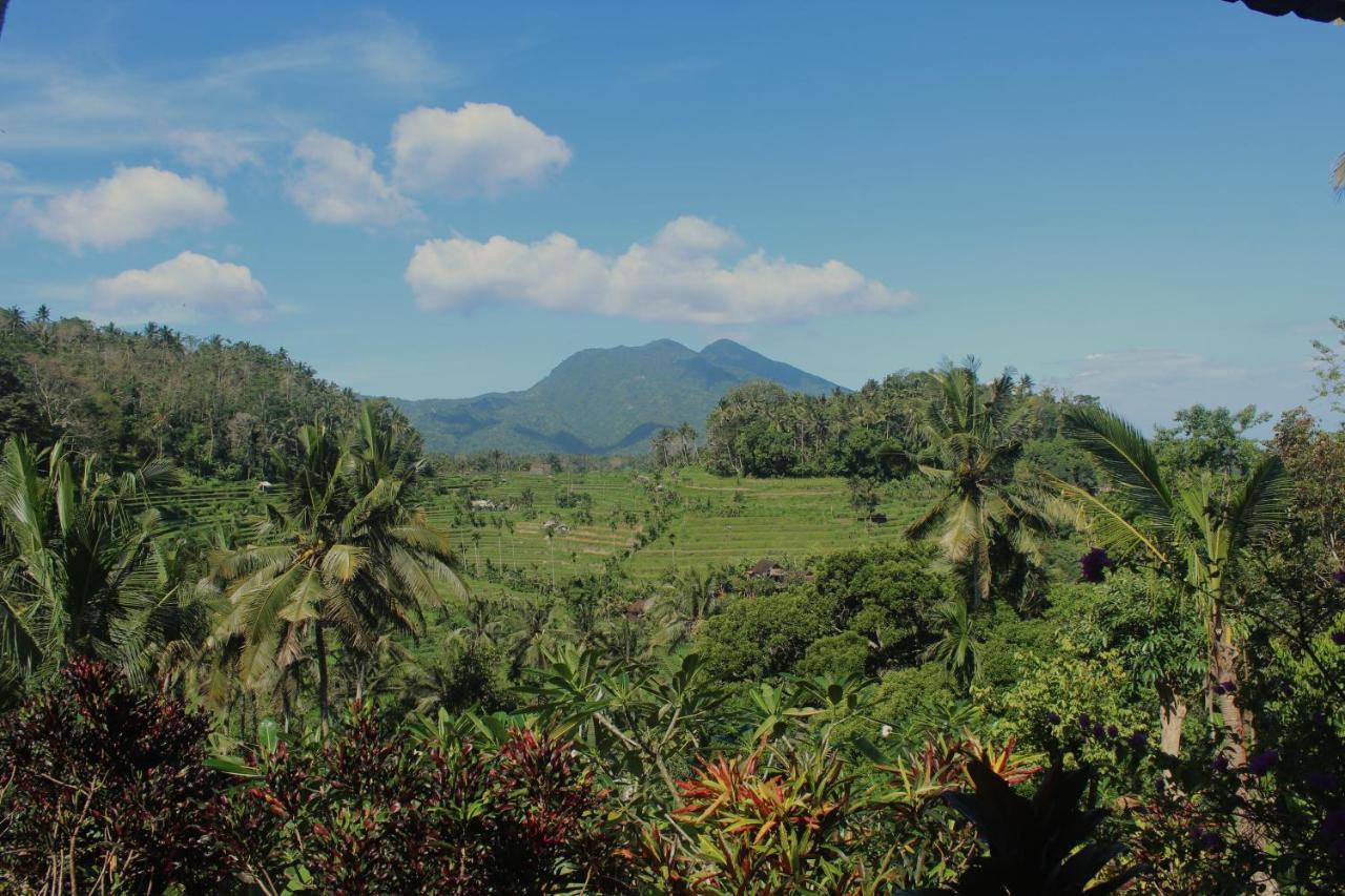 Pondok Lembah Dukuh Homestay كارانغاسِم المظهر الخارجي الصورة